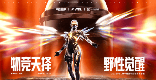 2025PEL夏季赛火热开战，东南亚观众如何流畅观看赛事直播？